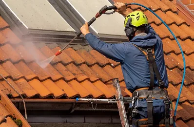 Démoussage et hydrofuge de toiture à Monesple